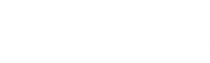 Dealy.vn Logo